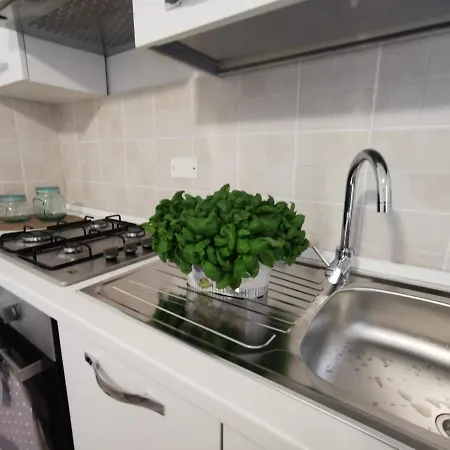 Green House Daniel E Sara *