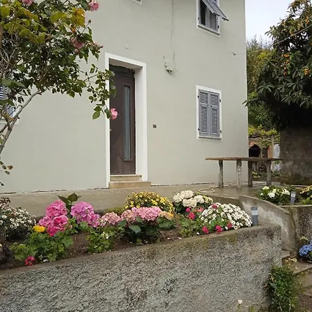 Green House Daniel E Sara 度假居 *