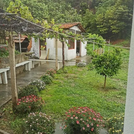 Feriehus Green House Daniel E Sara Celle Ligure