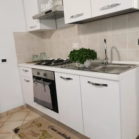 Green House Daniel E Sara 塞勒里古