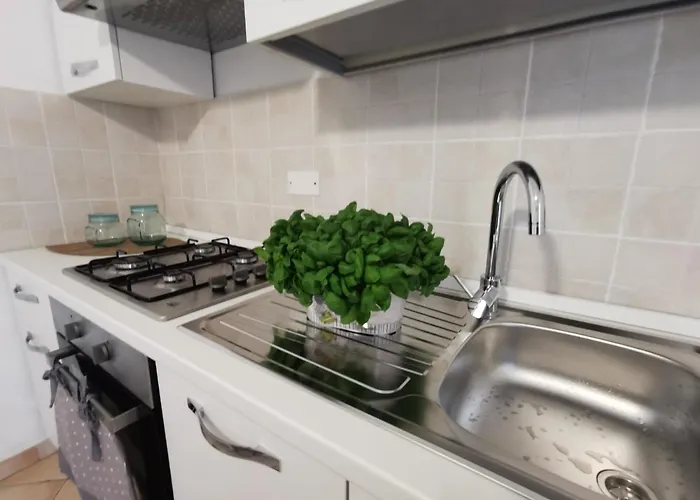 Green House Daniel E Sara *